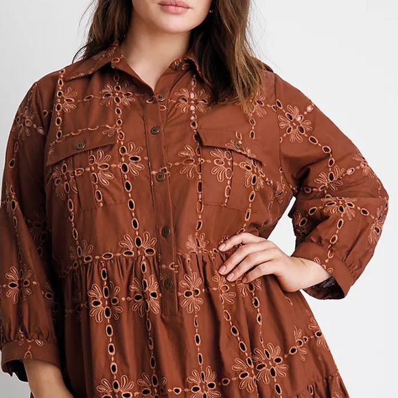 Anthropologie Josie Eyelet Dress - Picture 4 of 7